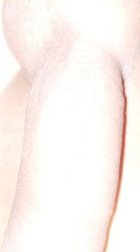 dâm