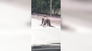 Say xỉn doggy với trí tưởng tượng của chính mình trên đường phố
