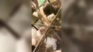 Clip Hot Phương Anh 2ka9 Địt Trước Gương Cực Kích Thích