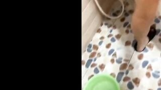 Lén vào nhà tắm khi con bạn tắm lm nó chửi Um lên bóp vú gạ djt e nó