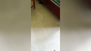 Lén vào phòng ngủ cô giáo sục cặc