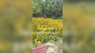 Chơi cô em họ mới lớn vú to đủ mọi tư thế