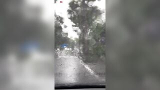 Đường xa mưa tắc,bác tài rủ em năm nhất vào nhà nghỉ trú mưa rồi gạ địt em luôn
