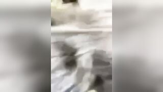 Hai anh em rủ nhau ra cánh đồng bú khoai