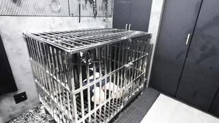 Bạo dâm huấn luyện em teen xinh dâm nhốt vào chuồng chó bắt làm con đĩ chó dâm đãng 7