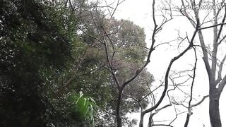 Em học sinh về quê phụ công việc của gia đình thì bị một gã khách hàng nắm thóp