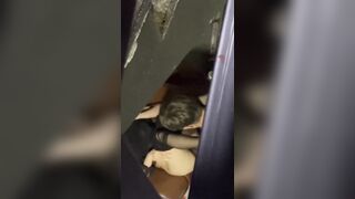 Vẫn phải là quán bar, Phúc Châu BGM cầu thang chiến thần, tôi cũng muốn thử xem 😂