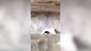 Trèo tường quay lén đôi bạn trẻ dâm đãng đg đi ngoài đường mà nứng lén lút làm tình