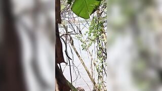 Em gái học sinh cấp 3 mới lớn trốn học dẫn nhau ra bụi chuối bờ sông địt nhau