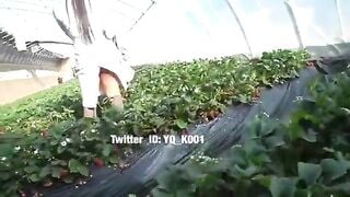 Không mặc quần lót trong khu vườn