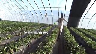 Không mặc quần lót trong khu vườn