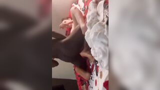 Dâm nữ thèm của lạ gạ Phi đen cặc to về bú cặc bị dập vào lồn k thương tiếc #2