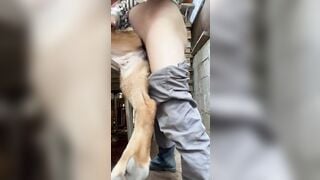 Thợ hồ nghỉ trưa địt chó kế bên người ta nghỉ ngơi ăn trưa nói chuyện