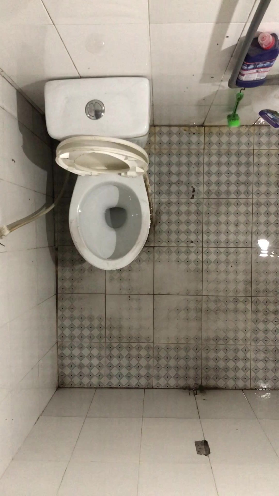 Ôi bờ mông đó